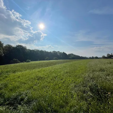 Tiny Haus #4 - Ruhe & Wellness Mit Sauna Und Tiny Pool