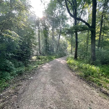 Tiny Haus #4 - Ruhe & Wellness Mit Sauna Und Tiny Pool Appartement Hulben